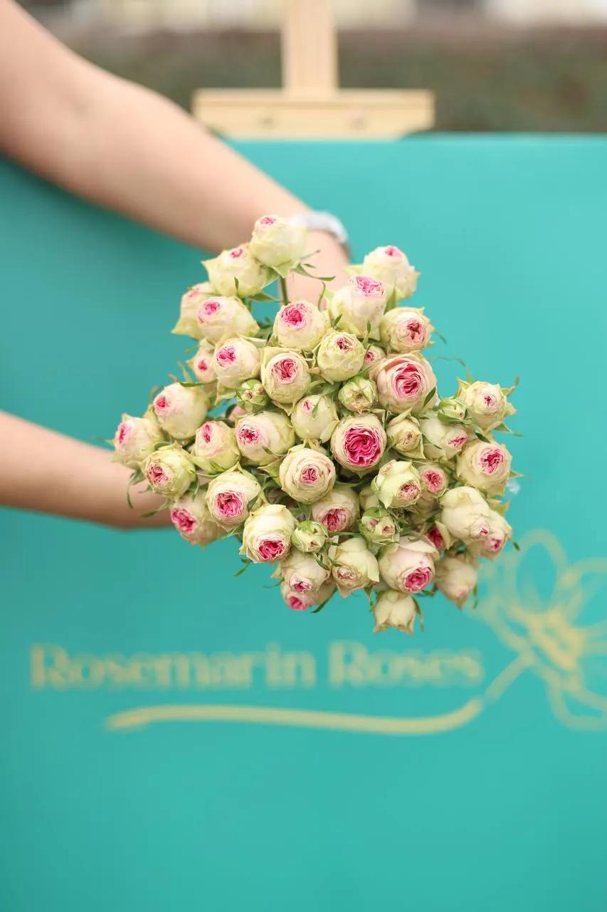 Elegant peony-like bracts | ծաղիկներ, ծաղկեպսակներ, բույսեր Երևան