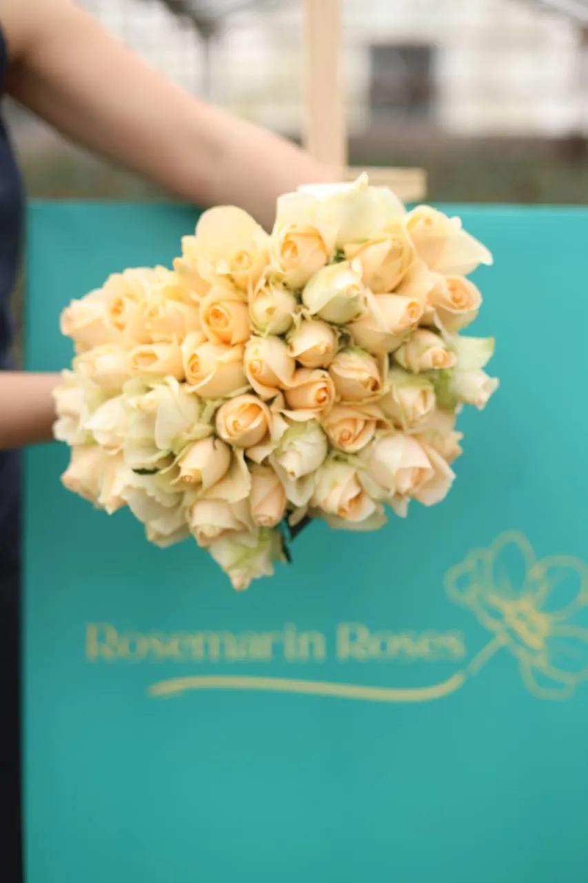 Bunch of roses | ծաղիկներ, ծաղկեպսակներ, բույսեր Երևան