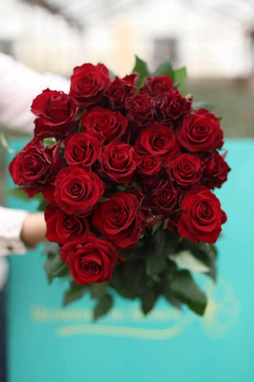 Red Roses | ծաղիկներ, ծաղկեպսակներ, բույսեր Երևան
