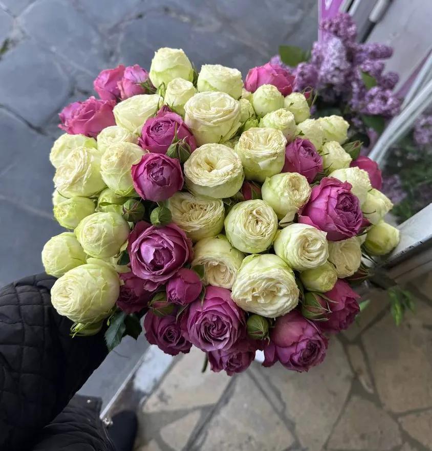 Փնջային վարդեր | ծաղիկներ, ծաղկեպսակներ, բույսեր Երևան