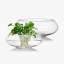 Glass Pot ծաղիկների | ծաղկեպսակների առաքում Երևան Glass Pot ծաղիկների | ծաղկեպսակների առաքում Երևան