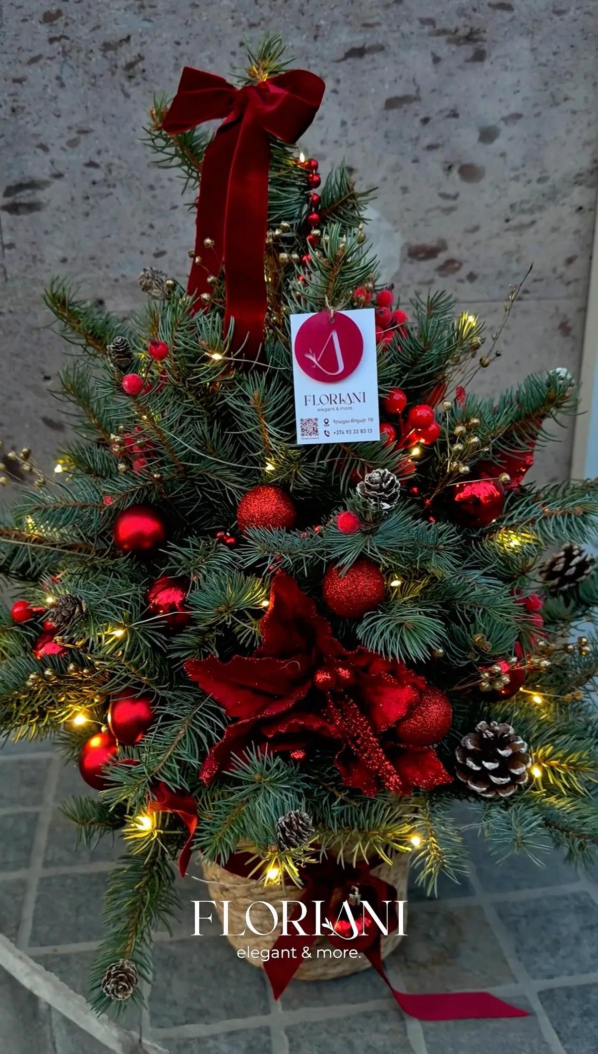 Christmas composition | ծաղիկներ, ծաղկեպսակներ, բույսեր Երևան Christmas composition | ծաղիկներ, ծաղկեպսակներ, բույսեր Երևան