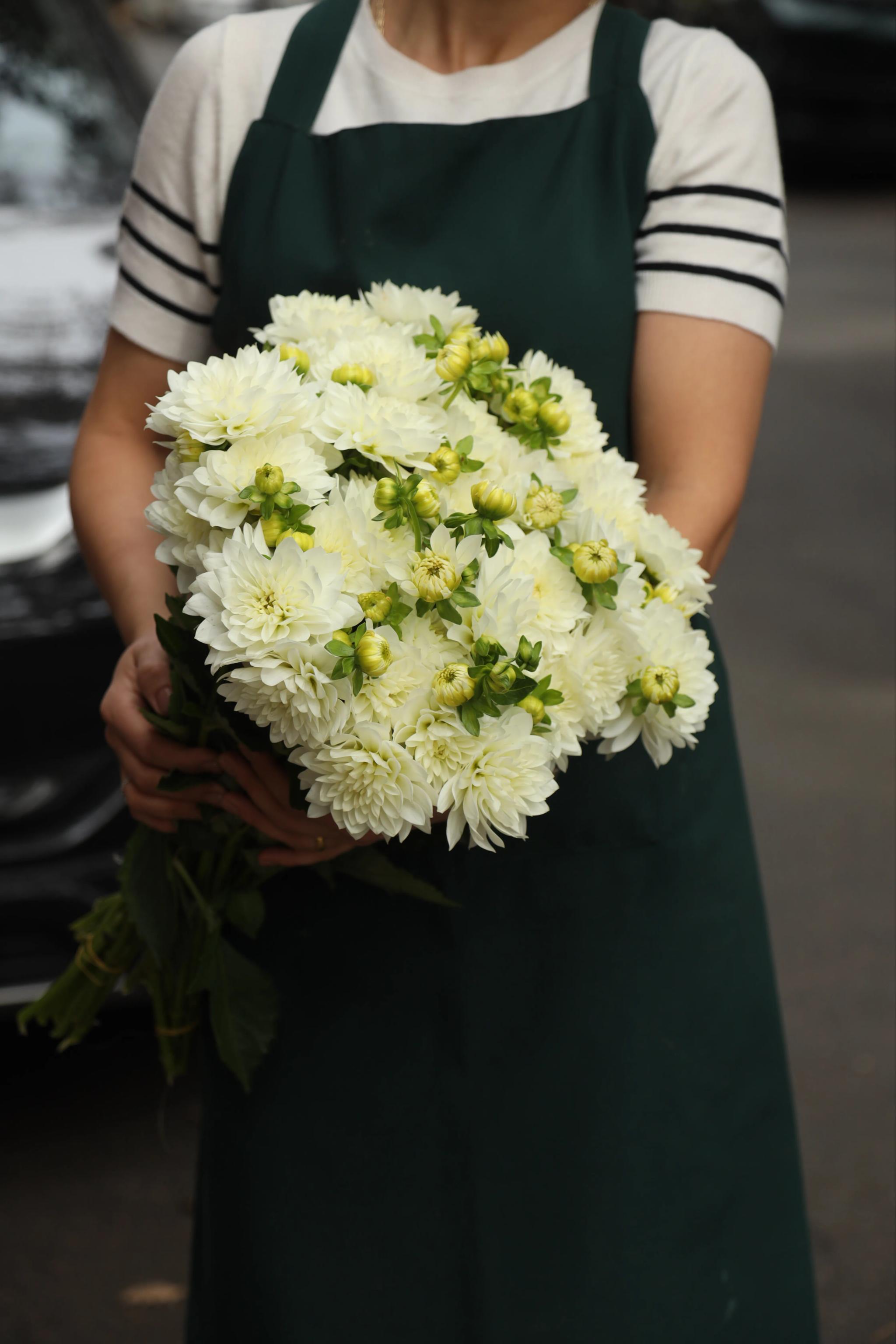 A bunch of white chrysanthemums | ծաղիկներ, ծաղկեպսակներ, բույսեր Երևան A bunch of white chrysanthemums | ծաղիկներ, ծաղկեպսակներ, բույսեր Երևան